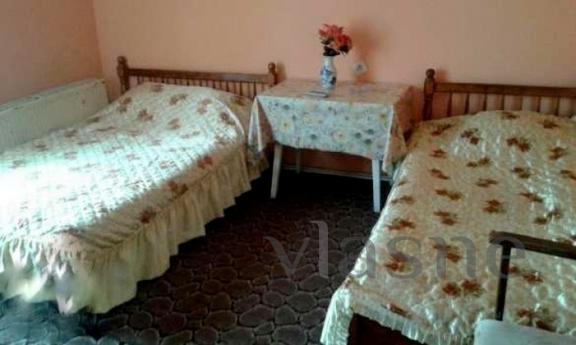 Rooms in the house - town Velingrad, Pazardzhik - apartment by the day